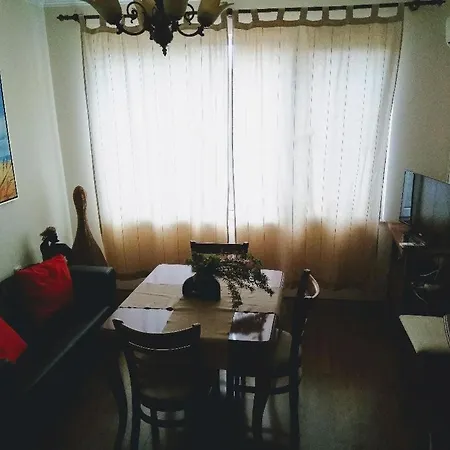 Erendgikov's City House