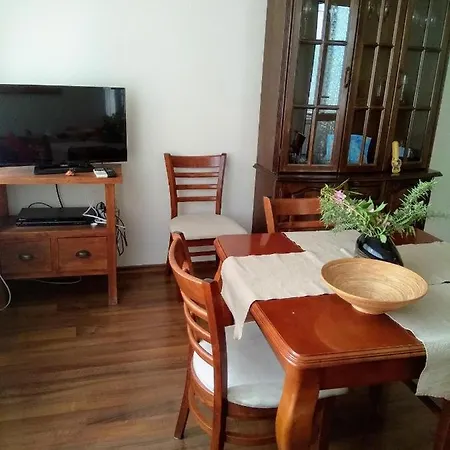 Erendgikov's City House شقة